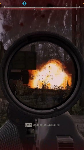 ☢️ STALKER2►THE BEAUTIFUL ONE TOOK FLIGHT. 😎 #Shorts #stalker