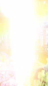 🌸 Feel the atmosphere at the Phoenicia Grand Hotel ✨ For reservations, contact us 📞 4021 300 0889 🌐reservations@phoenicia.ro | Phoenicia Grand Hotel