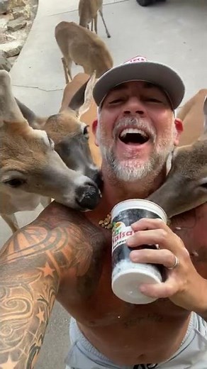 Man Gets Attacked By Deer