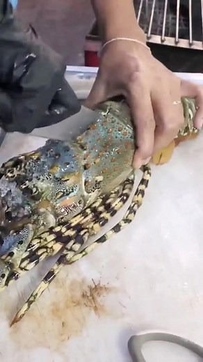 139K views · 663 reactions | Great cutting skill lobster #homecooking #cookinglesson #cooking #cookingmadeesy #homemadecooking #fastfoodfriday #foodie #fortnitecreative #healthyfood #food | Log Home Tips | Facebook