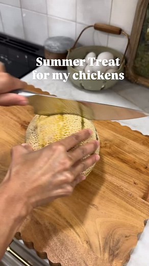 Only the best for our little ladies! 🫐 . . #backyardchickens #backyardchickensofinstagram #chickenmom | All Good