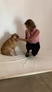 Pidu the pretty poser ☺️💕 | Otara Gunewardene