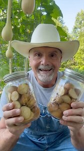 46K views · 4.6K reactions | Dry Canning Potatoes Not FDA Approved! #potatoes #canning #foodie #garden #gardening #farm #farming #homestead #homesteading #farmlife #homesteadlife #farmtotable | PawPaw Ridge Homestead | Facebook