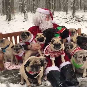 MERRY CHRISTMAS!!! Wishing a happy, healthy holiday to all!