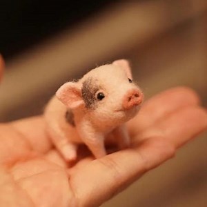 Needle Felted Pig Sculpture • 3 Inch Mini Animal Decor - Etsy UK