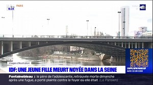 1K views · 30 reactions | Île-de-France: une jeune fille est morte noyée dans la Seine lundi 26 février | BFM Paris Île-de-France | Facebook