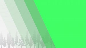 WIAA GIRLS BASKETBALL: Wisconsin Rapids 47, Rhinelander Hodag Athletics & Activities 38 | WJFW Newswatch 12