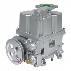 [Hot Item] Tokheim Type Vane Pump