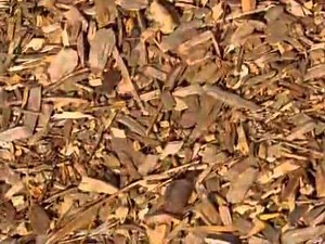 Building Material Supplies – Jumbo Bag Topsoil