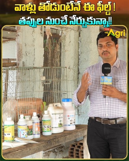 3.7K views · 27 reactions | Sheep and Goat Health Seasonal Diseases...