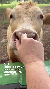 1.2K views · 108 reactions | Are there any critter geniuses in your...