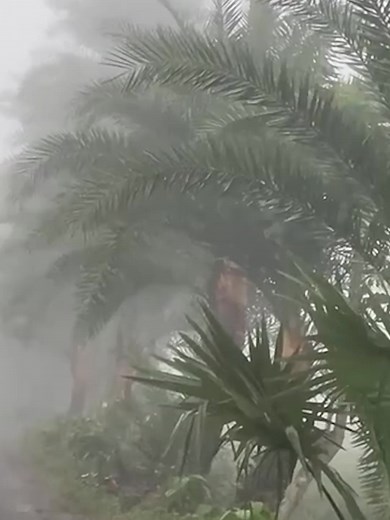 মাত্র ৯৯৯ টাকায় ১০ পিস প্রিমিয়াম আতর/পারফিউম অর্ডার করলেই পাচ্ছেন একটি প্রিমিয়াম মানের জ্যাকেট ফ্রি! 🧥✨ আতর/পারফিউম অর্ডার করলেই পাবেন নিশ্চিত উপহার। সাথে অংশ নিন আমাদের “খেলা হবে” মেগা র‍্যাফেল ক্যাম্পেইনে 🎁 ✨ বিশেষ পুরস্কারসমূহঃ 🏍️ ১৫ নভেম্বরের ফাইনাল ড্র-তে থাকছে ৩টি ব্র্যান্ড নিউ বাইক (প্রতিটির মূল্য ৫ লক্ষ টাকা!) 📱 প্রতিদিন রাতেই স্মার্টফোন জেতার সুযোগ 🎊 আরও ৩০০ আকর্ষণীয় পুরস্কার ⏳ সময় সীমিত — আজই অর্ডার করুন! হয়তো এই শীতের লাখপতি বিজয়ী আপনিই! 😍 📞 কল করুন: 01719550005 🌐 অর্ডার লিংক: