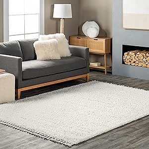 nuLOOM Neva Modern Tasseled Shag Accent Rug, 2x3, Ivory