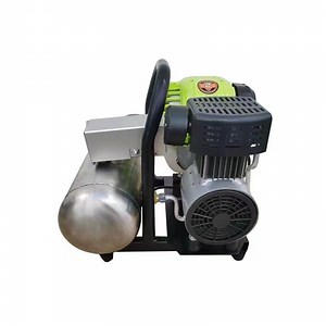 [Hot Item] Factory Direct Selling 2HP Portable Diving Oil-Free Air Compressor with Gasoline Engine