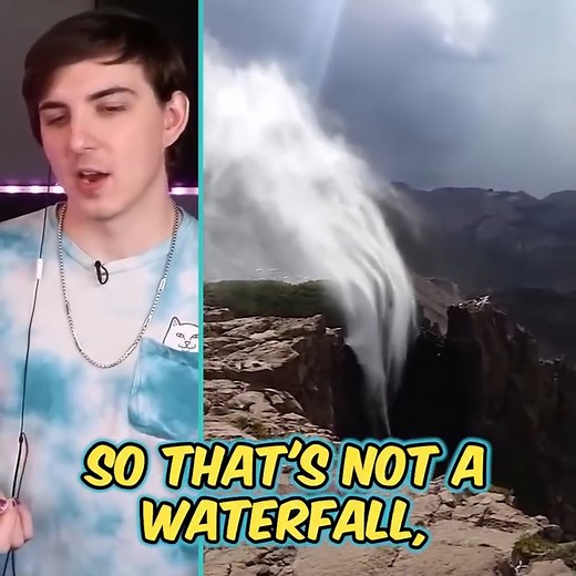 That is a waterfly! #reels #mrbeast #reactionvideo #funny #viral #naturalphenomenon | Beast Reacts Videos