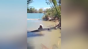BREAKING: Dolphin nakit-an sa Barangay Nabitasan, Leganes, Iloilo, sini nga udto. Video by Septembr Slng Via K5 Aaron Refoyo | April 13, 2024 Ini nga balita ginadul-ong sa inyo sang: D3BIO, DTX500, MIGHTY CEE, DTX COFFEE MIX 👉Mabibili Sa Lahat Ng Branch Ng Clinica De Alternativo At Sa Mga Nangungunang Botika Sa Inyong Lugar Maaari ring umorder thru shopee: 🛒https://shopee.ph/clinicadealternativomedicina W For More Inquiries Call Us At: 0966-901-9208 BANDERA NOON, K5 NEWS FM NA NGAYON! | K5 New