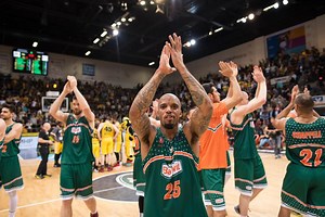 Banvit: a closer look