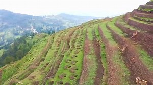 5.5K views · 360 reactions | Oromia President Office on Reels | Facebook