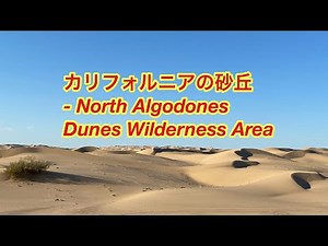 カリフォルニアの砂丘 - North Algodones Dunes Wilderness Area