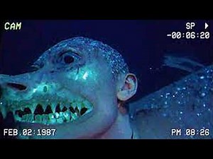 Scientists Capture Disturbing Creatures From the Ocean Floor
