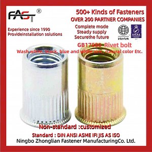 [Hot Item] Flat Head Hexagon Body Close Blind Rivet Nut for Light Industrial Products