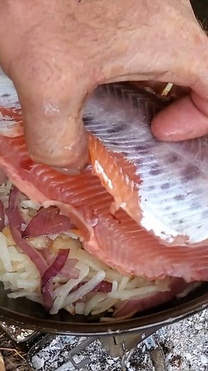 Catch and cook meal in remote wilderness area! #outdoorgear #bushcraftcamping | Firebox Stove