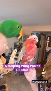 1.1K views · 58 reactions | This is part 2 of the generous donation I...