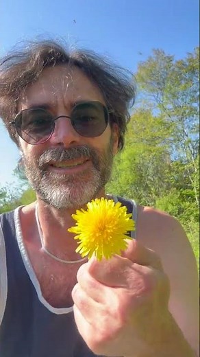 Fried Dandelion Blossoms for Breakfast #homesteadingskills #frieddandelions #homesteading #foraging
