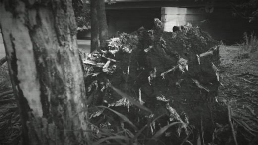 Novembers Doom - Mercy The Kingdom Of The Dragon Princess 🇪🇦 | The Kingdom Of The Dragon Princess