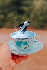 Manipulation Ideas in Photoshop #photoshop #photoediting | Hùng Photo Official