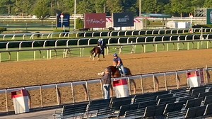 Belmont Stakes Contender Mystik Dan galloping on the main track at Saratoga this morning (6/4)! Only 11 horses in history have won both the Kentucky Derby and the Belmont Stakes while not winning the Preakness Stakes!150th #KyDerby winner Mystik Dan, will be in the same post position (#3) in the Belmont at Saratoga as he was on the first Saturday in May. He is coming off a hard fought second place finish in the Preakness Stakes, running a 98 ESF traveling a total distance of 6,301 FT in 271.5 st
