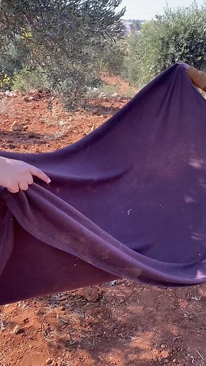 Perfect Outdoor Picnic Setup with Delicious Food Ideas