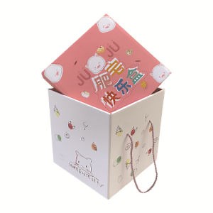[Hot Item] Custom Printed Corrugated Cardboard Boxes Clothes/Shoe Storage Gift Packaging Carton Box