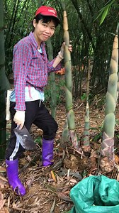 5.7K views · 18 reactions | colorful life 804  | Zenith | Facebook