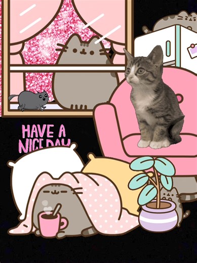 #goodmorning #TuesdayThoughts #catsofinstagram #tuesdaymotivation #catsofinstagram # | Diamond Bar Kennel