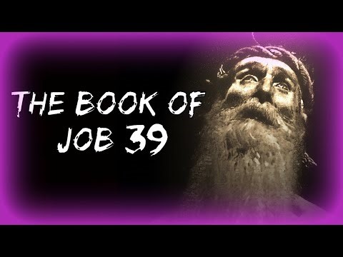 JOB CHAPTER 39