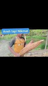 17K views · 184 reactions | Ini hewan unik dan nikmat, paling susah dicari dan biasa dipohonbyg tinggi #papua #tradisionalfood | Harmady Manulang | Facebook