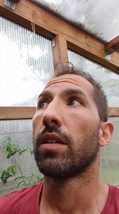 La pollinisation !! C'est le rôle le plus essentiel de l'abeille dans l'environnement... | L'Abeille de Lorraine