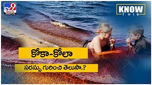 Coca Cola Lake: కోకా-కోలా సరస్సు గురించి తెలుసా..?? వీడియో