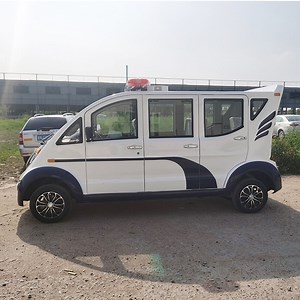 [Hot Item] Adult Electric Vehicle Mini Golf Cart for Garden Use