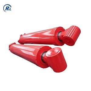 [Hot Item] Qingdao Ruilan Customized Professional Tractor Lift Arm Hydraulic Cylinder