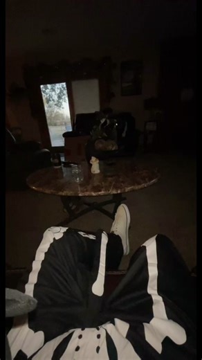 Cute Pug Relaxing in a Cozy Living Room