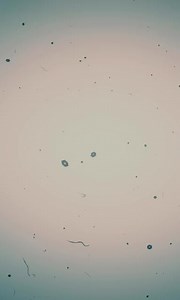 1.9K views | Gpat Discussion Center on Reels | Facebook