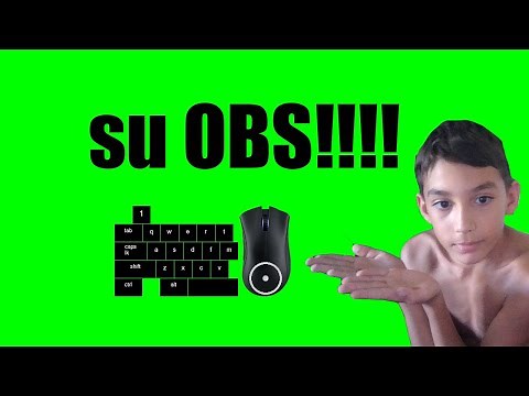 Come mettere la tastiera su obs (NohBoard) Fizzy MK ITA