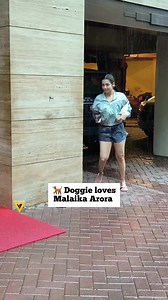 81K views · 2.2K reactions | Follow @malaika.fan.club . . . . ....