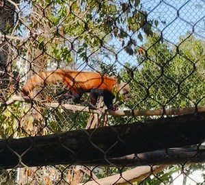 Santa Maria Valley YMCA on Reels | Facebook