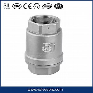 [Hot Item] 1000 Wog Stainless Steel Vertical Type Spring Loaded Check Valve H12W Check Valve