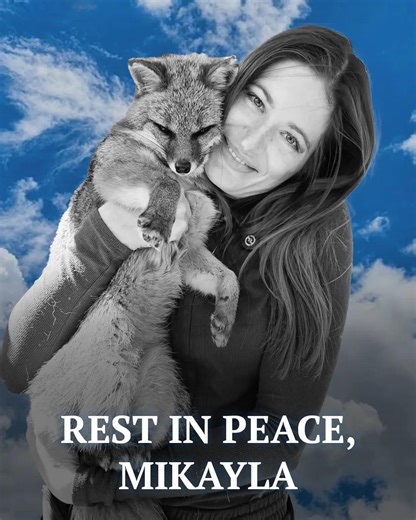 🕯️💔 YouTuber and animal rescuer Mikayla Raines has tragically taken her own life at 31, just a day after welcoming a new furry family member. 😢 She had always been passionate about wildlife welfare. She founded Save A Fox sanctuary after rescuing three pups from a fur farm. Her heartbroken husband, Ethan, revealed what led her to such an unimaginable move in a tearful video. Mikayla was a loving wife and a devoted mom to their little daughter, Freya. 🙏🕊️ Details 👇 | Patricia Whitney