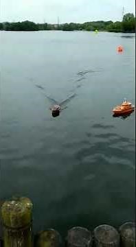 Aeronaut Diva Cabin Cruiser RC Boat