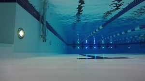 Time-lapse Man Swimming Laps Swimming Pool : vidéo de stock (100 % libre de droit) 10343981 | Shutterstock